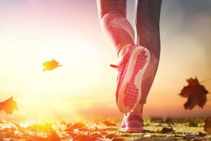 Du willst auch im Herbst joggen? Mit der richtigen Laufbekleidung kannst Du gleich loslegen und Dein Immunsystem stärken. Erfahre hier mehr!